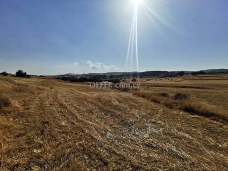 Field in Aradippou - 2
