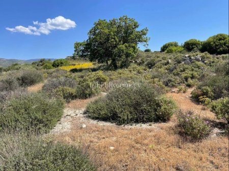 Land Parcel 2300 sm in Agios Therapon, Limassol - 4