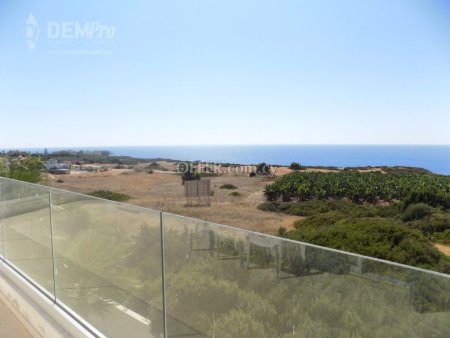 Villa For Sale in Peyia - St. George, Paphos - DP1086 - 3