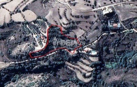 Agricultural Land For Sale in Polemi, Paphos - DP1545