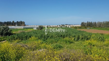 Residential Land  For Sale in Mandria, Paphos - DP1322 - 1