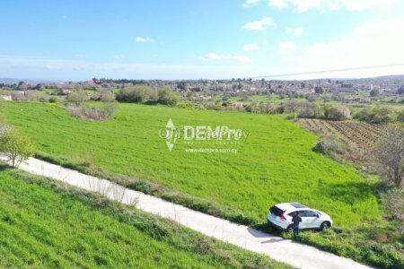 Agricultural Land For Sale in Polemi, Paphos - DP1320