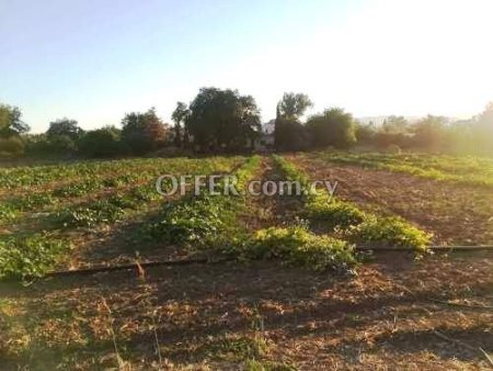 Residential Land  For Sale in Polemi, Paphos - DP1310