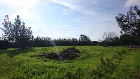 Residential Land  For Sale in Tremithousa, Paphos - DP171