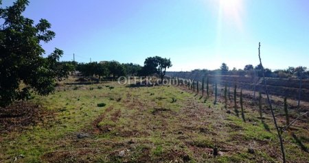 Plot  For Sale in Konia, Paphos - DP141