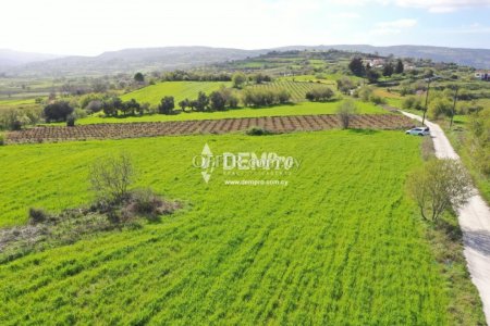 Agricultural Land For Sale in Polemi, Paphos - DP1320 - 3