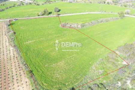 Agricultural Land For Sale in Polemi, Paphos - DP1320 - 2
