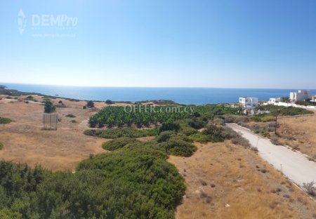 Villa For Sale in Peyia - St. George, Paphos - DP1086 - 10