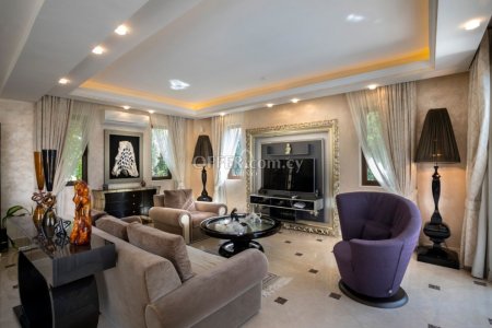 MAGNIFICENT  5 BEDROOM VILLA IN ARGAKA - 5