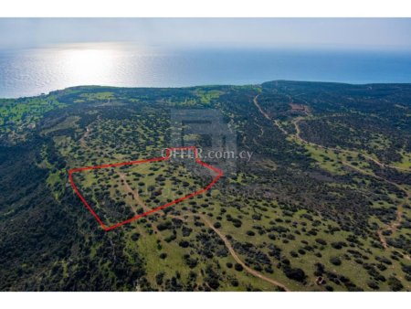 Residential field for sale in Pissouri area of Limassol - 2