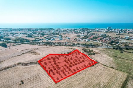 Field for Sale in Oroklini, Larnaca