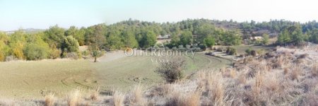 AGRICULTURAL LAND OF 13713 SQ.M. IN SIA NICOSIA. - 5