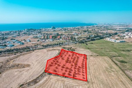 Field for Sale in Oroklini, Larnaca - 11