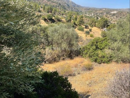 Land Parcel 2730 sm in Kapilio, Limassol