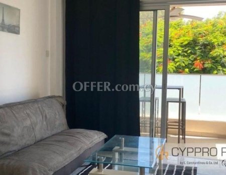 1 Bedroom Apartment in Tourist Area