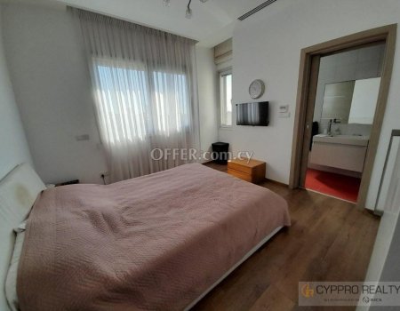 Whole Floor Spacious 4 Bedroom Penthouse in Agios Tychonas - 4