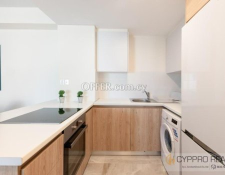 Luxury 2 Bedroom Apartment in Mouttagiaka - 4