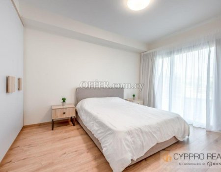 Luxury 2 Bedroom Apartment in Mouttagiaka - 3