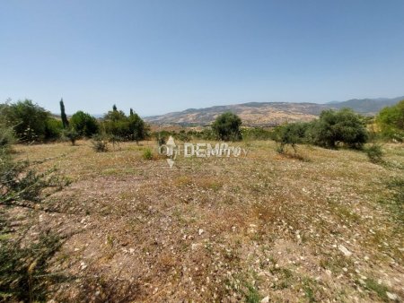 Agricultural Land For Sale in Lasa, Paphos - DP2350 - 2