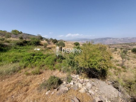 Agricultural Land For Sale in Pentalia, Paphos - DP2351