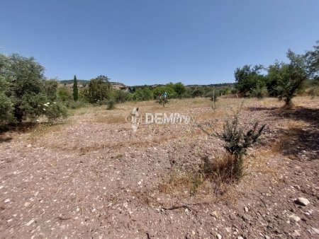 Agricultural Land For Sale in Lasa, Paphos - DP2350 - 1