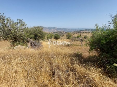 Agricultural Land For Sale in Pentalia, Paphos - DP2351 - 5