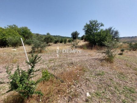 Agricultural Land For Sale in Lasa, Paphos - DP2350 - 10