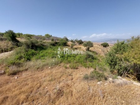 Agricultural Land For Sale in Pentalia, Paphos - DP2351 - 4