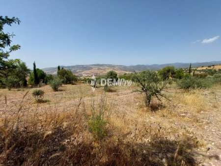 Agricultural Land For Sale in Lasa, Paphos - DP2350 - 9
