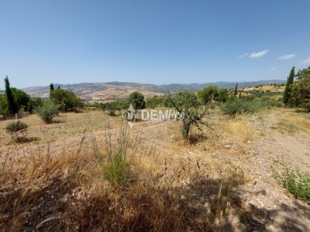 Agricultural Land For Sale in Lasa, Paphos - DP2350 - 8