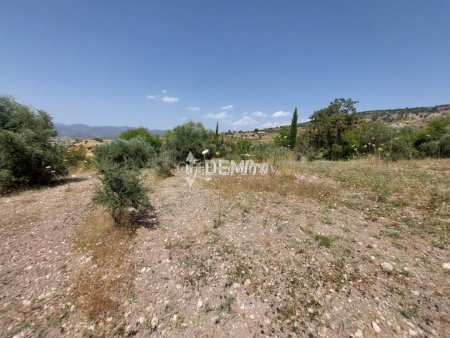 Agricultural Land For Sale in Lasa, Paphos - DP2350 - 7