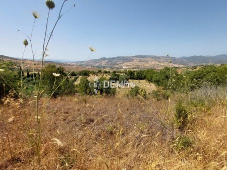 Agricultural Land For Sale in Lasa, Paphos - DP2350 - 5
