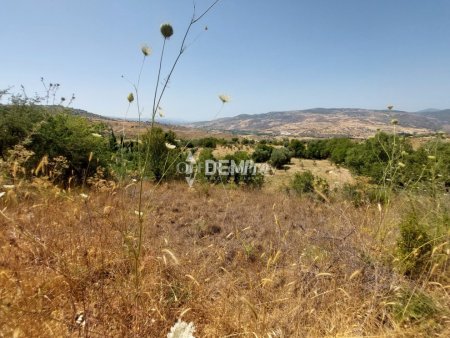 Agricultural Land For Sale in Lasa, Paphos - DP2350 - 4