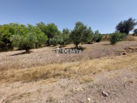 Agricultural Land For Sale in Lasa, Paphos - DP2350 - 3
