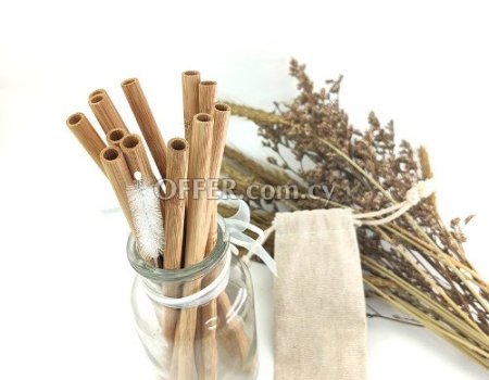 Bamboo Straws 20cm Reusable 12pcs + Bag + Cleaning Brush