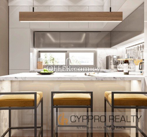 3 Bedroom Penthouse with Roof Garden in Mouttagiaka - 5