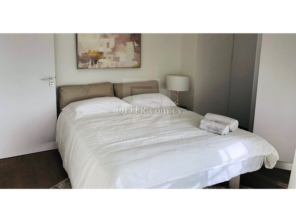Two bedroom furnished luxury apartment in the heart of Nicosia - 5