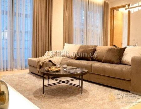 Luxury 3 Bedroom Penthouse in Dasoudi Area - 2