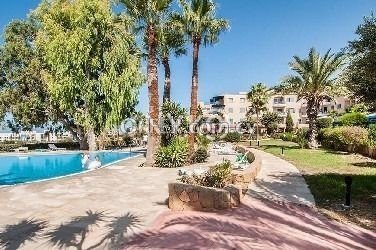 1 Bed Apartment For Sale in Kissonerga, Paphos - 5