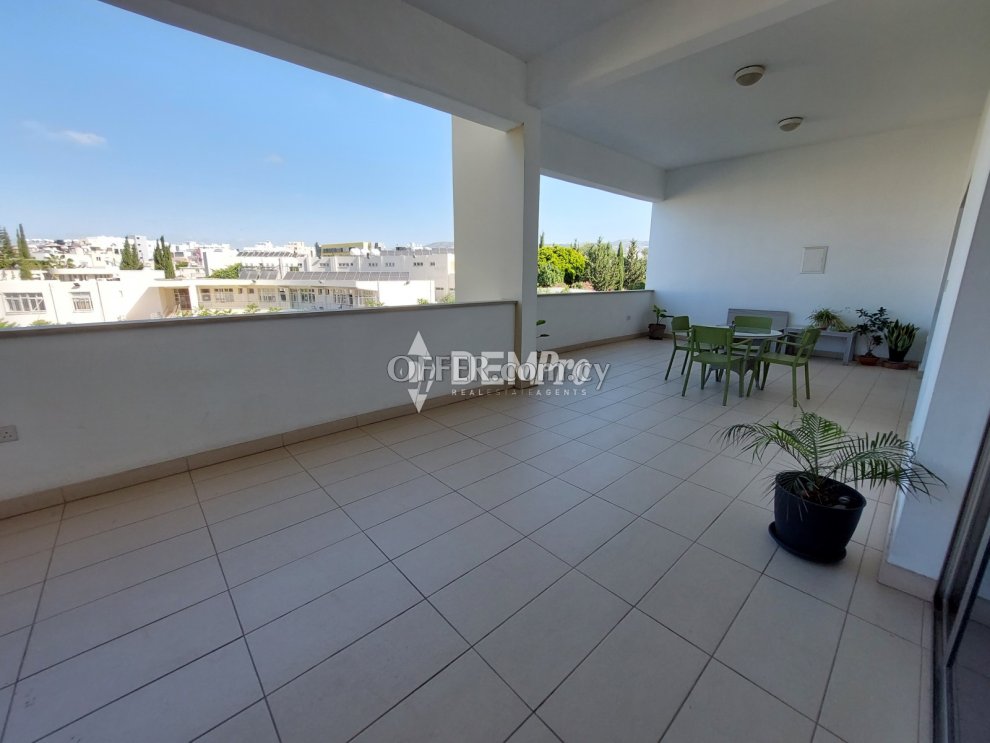 Office  For Rent in Paphos City Center, Paphos - DP2400 - 5