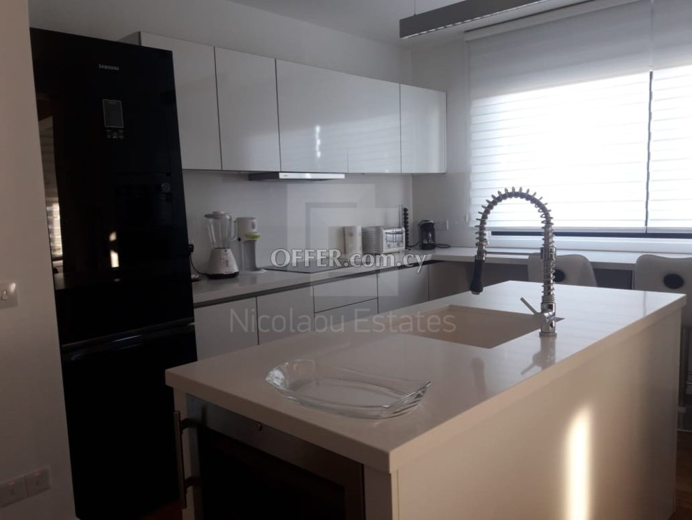 Luxury 2 bedroom penthouse with 120 sq.m. roof garden for rent in Agioi Omologites Engomi - 2