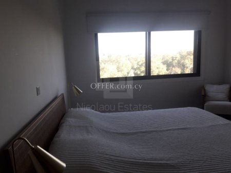 Luxury 2 bedroom penthouse with 120 sq.m. roof garden for rent in Agioi Omologites Engomi - 9