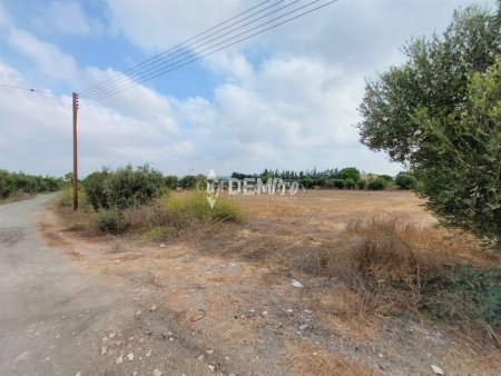 Agricultural Land For Sale in Yeroskipou, Paphos - DP2408