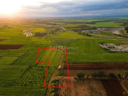 Agricultural Field in Avgorou - 3