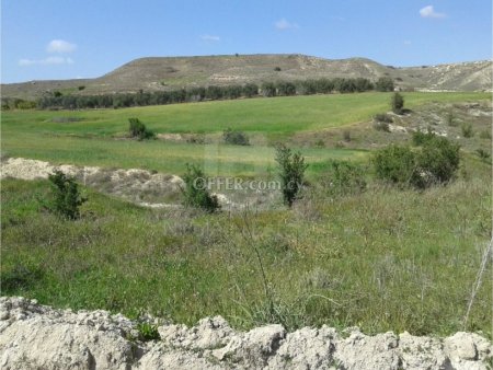 9365 sq.m. land for sale in Analiontas