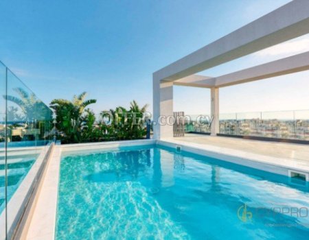 3 Bedroom Penthouse with Private Pool in Papas Area