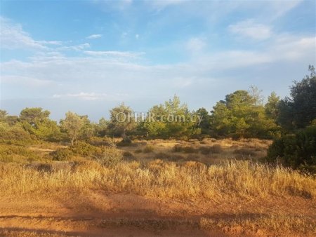 For Sale €45,000 Arsos Limassol