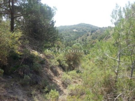 For Sale €1,500,000 Flamoudi Ammochostos