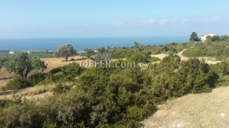 New For Sale €700,000 House 3 bedrooms, Detached Pegeia Agios Georgios Paphos - 5