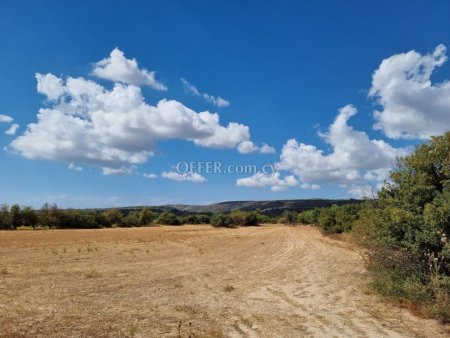 Land Parcel 17726 sm in Anogyra, Limassol - 1